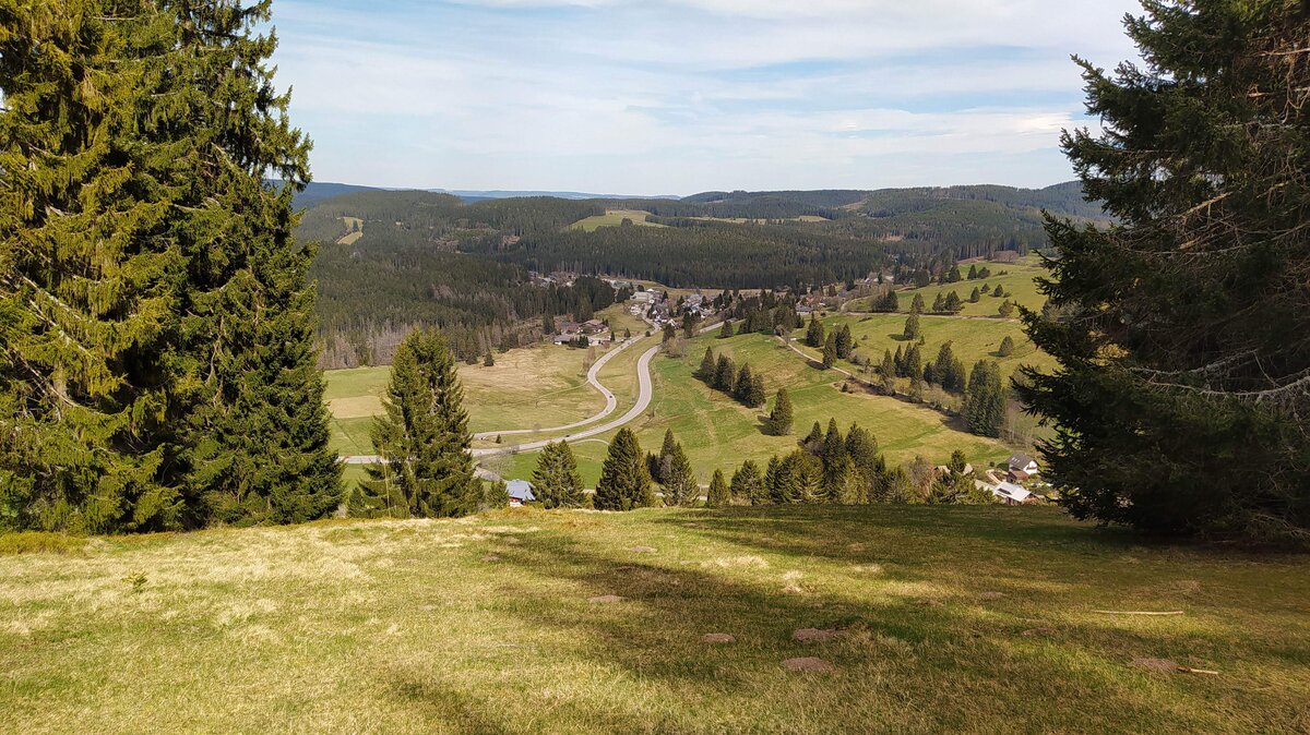 Drehkopf